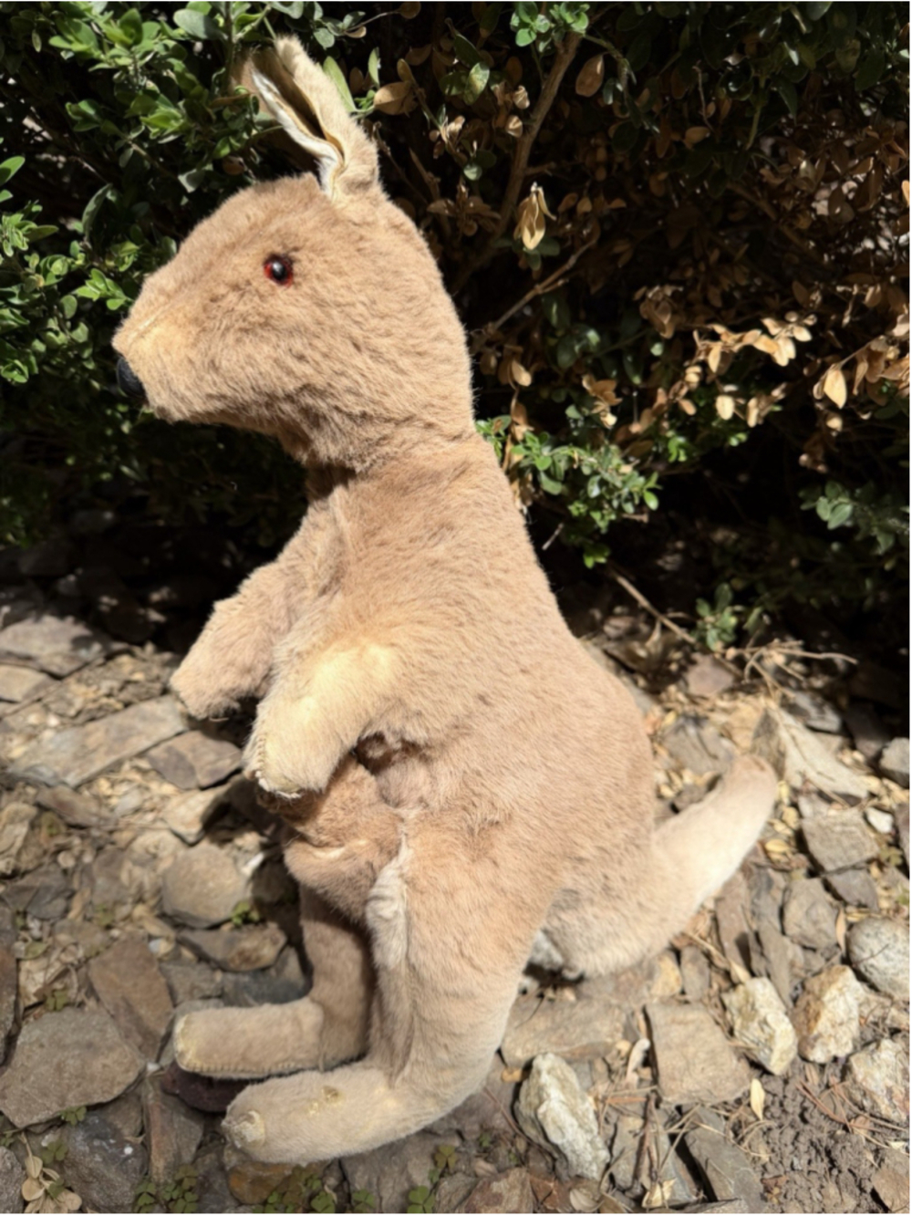 Vintage Kangaroo & Joey Stuffed Toy Animal Real Fur 1960s Australian Souvenir